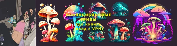 стафф Алексин