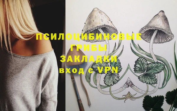 каннабис Грязовец