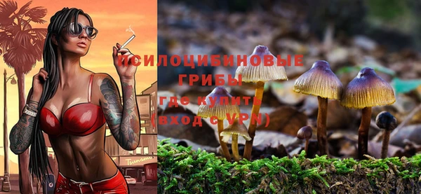 стафф Алексин