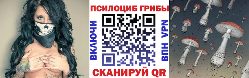 даркнет Telegram  Гаджиево  Псилоцибиновые грибы мицелий  гидра ONION 