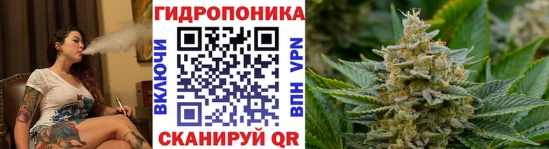 даркнет какой сайт  Гаджиево  Конопля Amnesia 